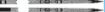 Picture of Ceremonial Infantry sword - CIIIR - Corps & Royal Marines - NSN 8465-99-973-6877